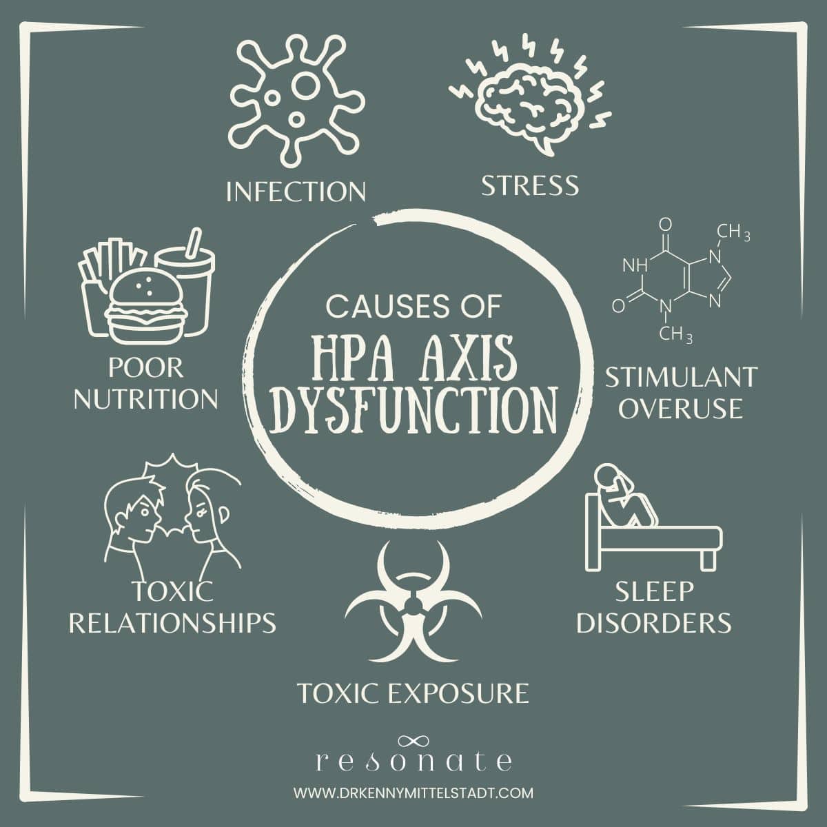 This graphic illustrates the causes of HPA Axis Dysfunction including infection, stress, poor nutrition, stimulant overuse, toxic relationships, sleep disorders, and toxic exposure