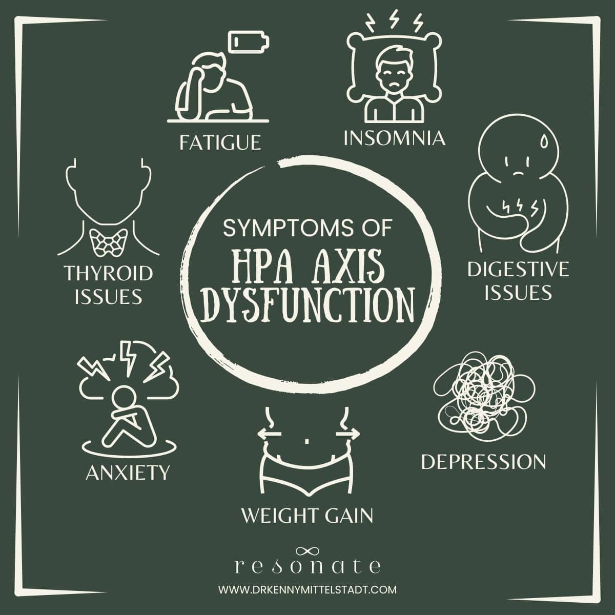 This graphic highlights some of the main symptoms of HPA Axis Dysfunction ("adrenal fatigue") - these include fatigue, insomnia, thyroid issues, digestive issues, anxiety, depression, and weight gain.