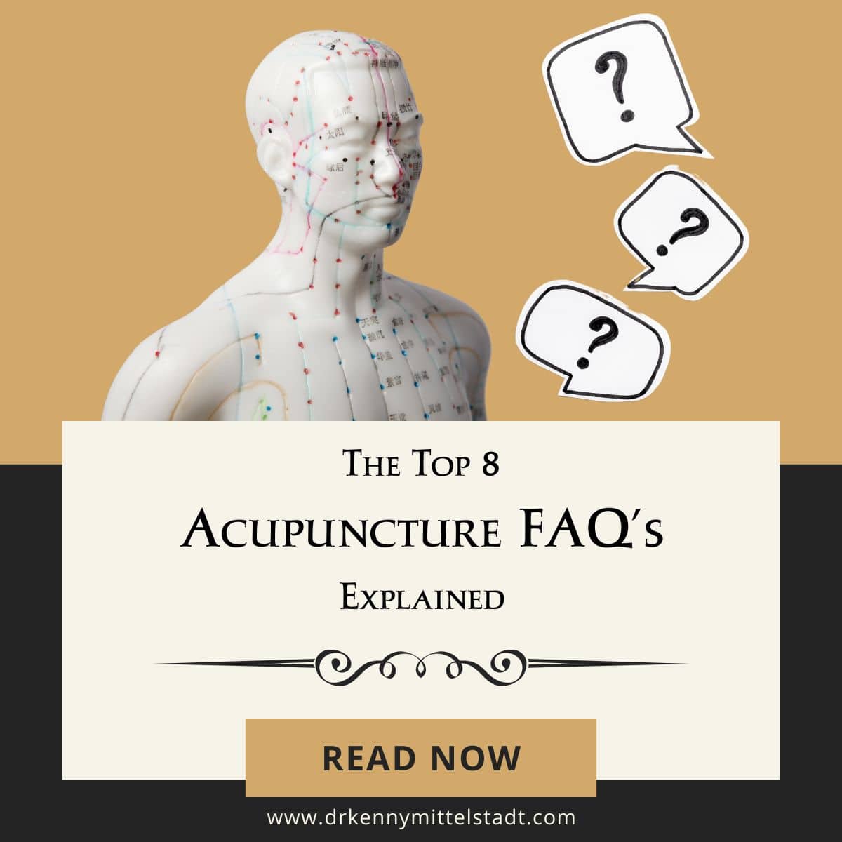 This is the featured image for the blog post, "The Top 8 Acupuncture FAQ's Explained." IT displays the title with a picture of an figure with the acupuncture meridians and points labeled.