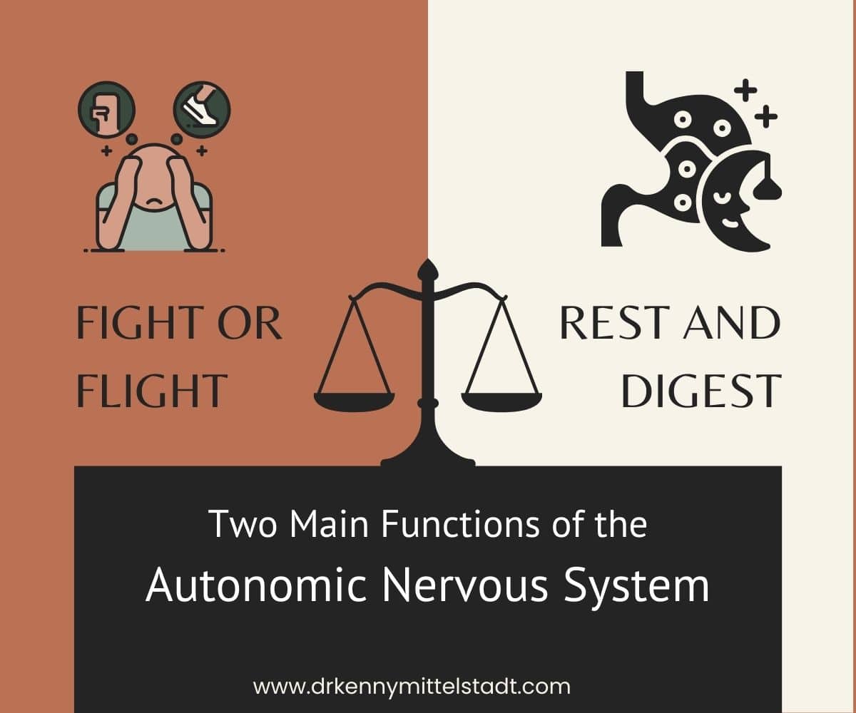 This image depicts a balancing scale that describes harmony between to two main parts of the autonomic nervous system.  These two parts are the "fight to flight" and "rest and digest" divisions.