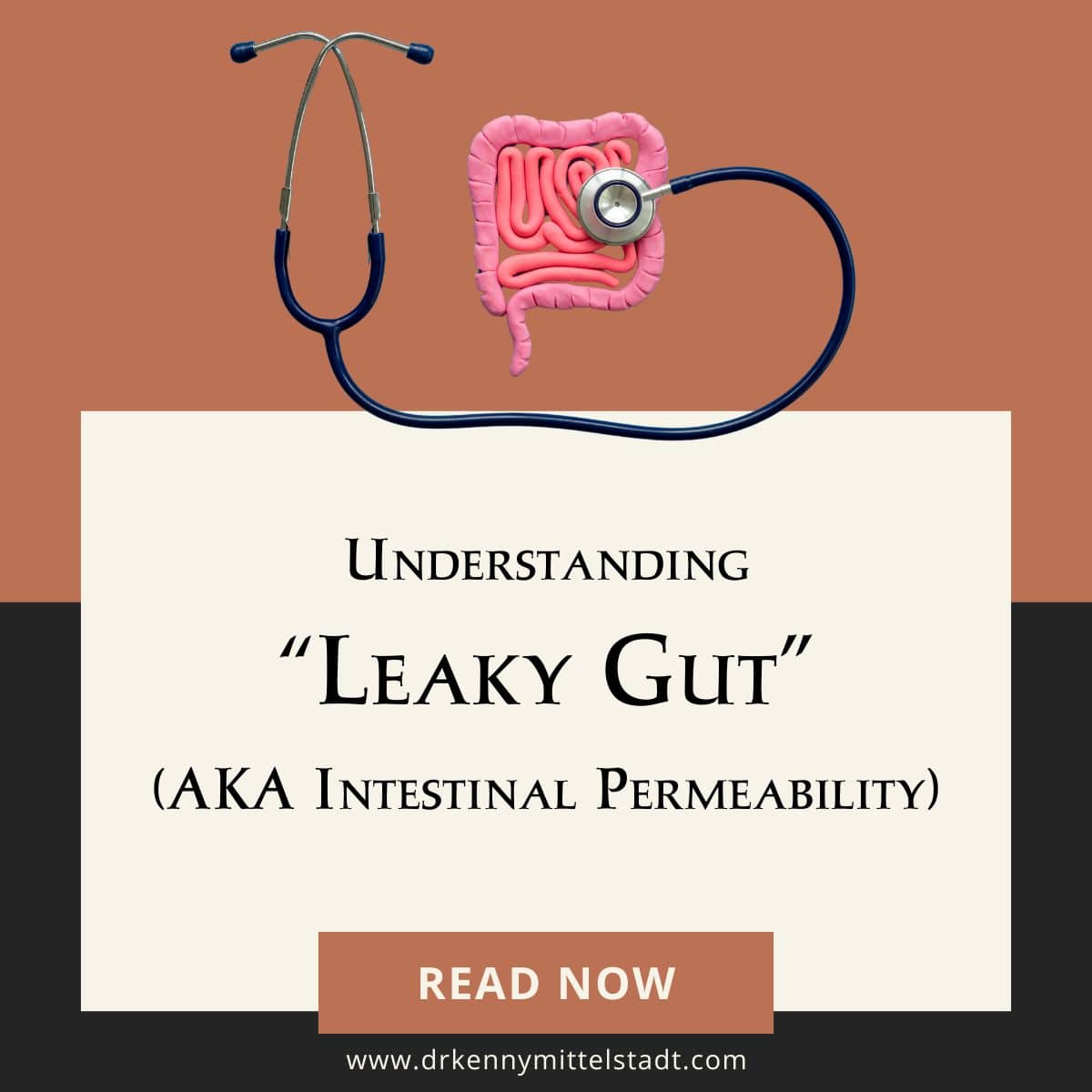 This image shows the title of the blog post, "Understanding Leaky Gut (AKA Intestinal Permeability)" with a picture of a stethoscope over a graphic of human intestines.