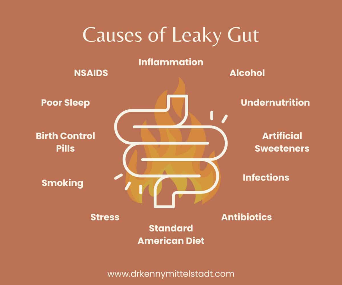 This graphic lists 12 potential causes of leaky gut that are discussed in this full blog post including NSAIDS, inflammation, stress, alcohol, and more!