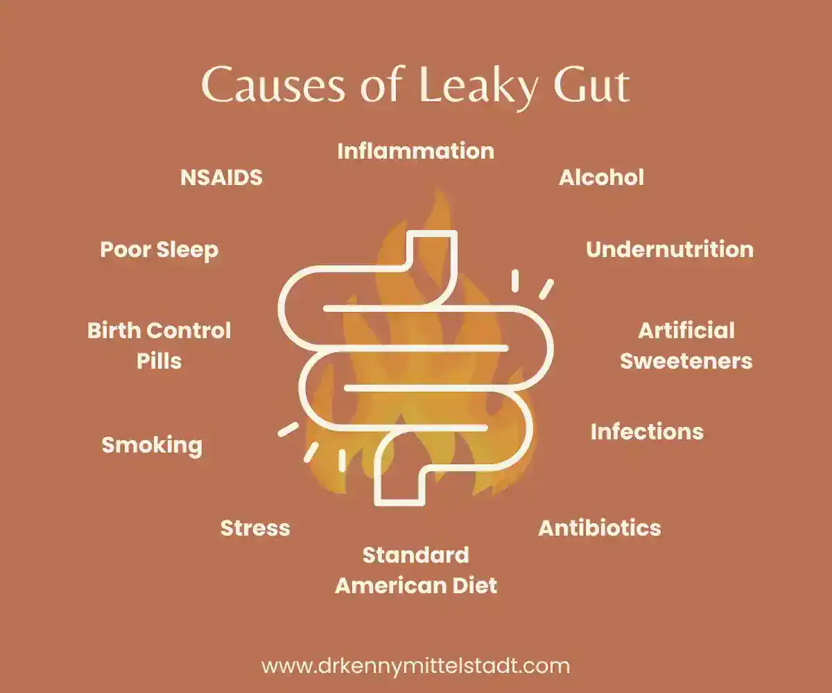 This graphic lists 12 potential causes of leaky gut that are discussed in this full blog post including NSAIDS, inflammation, stress, alcohol, and more!