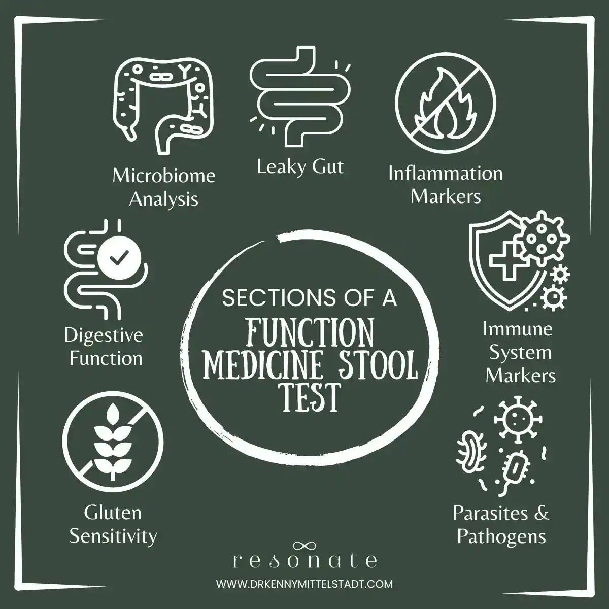 This image shows the 7 sections of a functional medicine stool test that are covered in the body of the blog post including microbiome analysis, digestion function assessment, pathogens and parasites, and more.